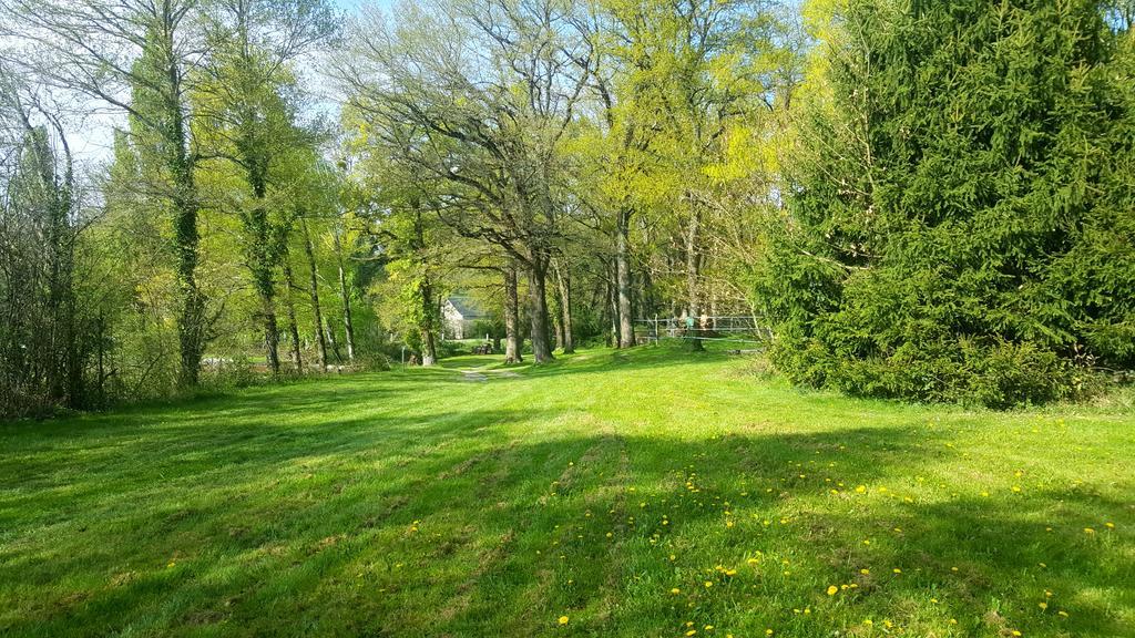 Camping De La Reuille Flere-la-Riviere Dış mekan fotoğraf